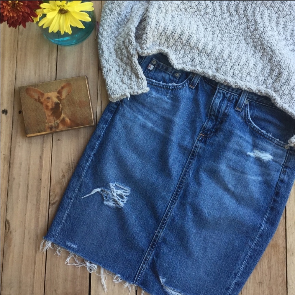 AG Adriano Goldschmied Erin Pencil Jean Skirt 25